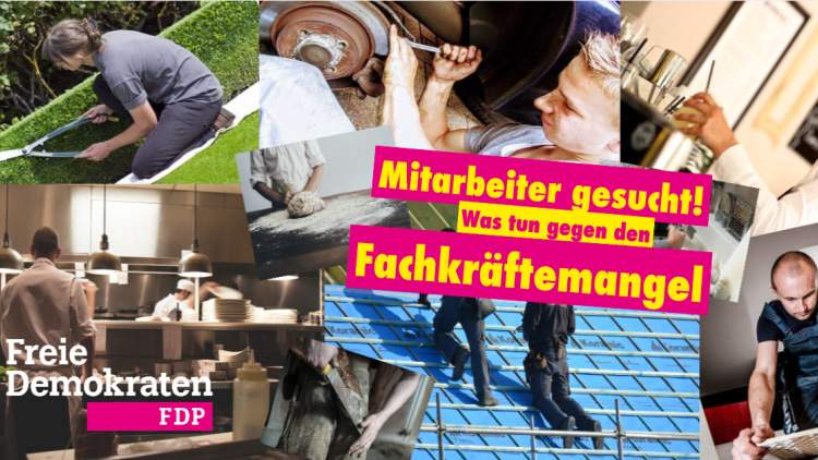 Fachkräfte